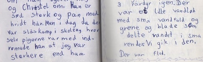 lilla dagbog kæresteriringen 6